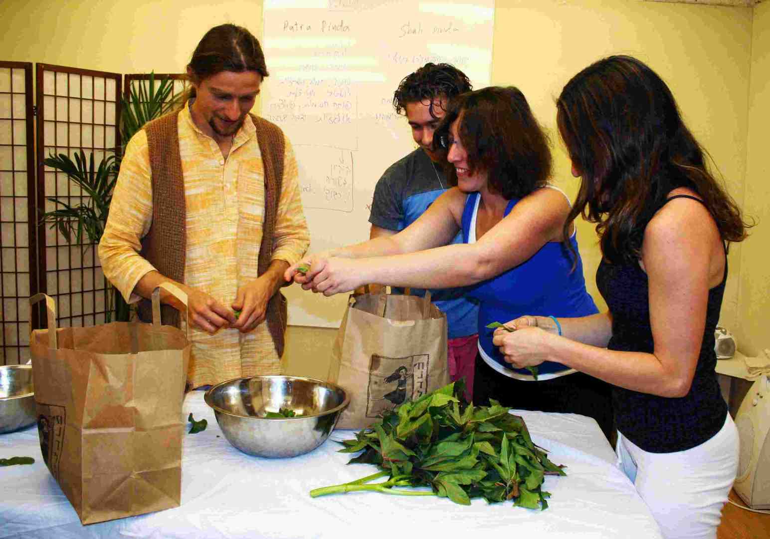 דצמבר של איורוודה- בואו לחוות איורוודה במיטבה!