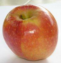 תפוח בדבש מאת: מירה כהן שטרקמן (N.D.) (R.Na) 