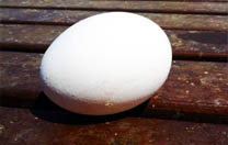 אפריל 2012  מתכונים לפסח ללא ביצים
