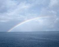 העמותה לקידום האיורוודה 