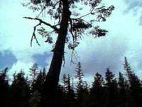 חורף והאש הפנימית 