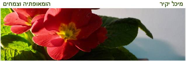 הסדר המופלא, הטבלה המחזורית של עולם הצמחים.