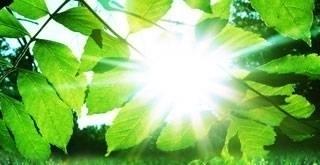 חוויות ורשמים מאירועי התפילה העולמית לשלום - דצמבר 2010