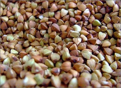 והיו מזונתיך תרופותיך: כוסמת ודוחן