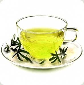 חדשות מעולם התזונה: השפעת הצריכה של תה ירוק על מתח ועייפות