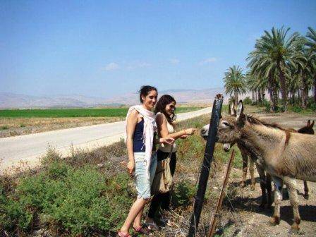 סיור בשדה אליהו להכרת החקלאות האורגנית והביולוגית