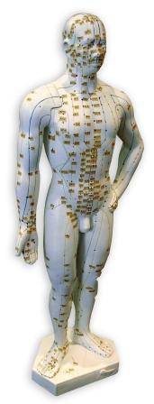 קורס עולם הרפואה המשלימה