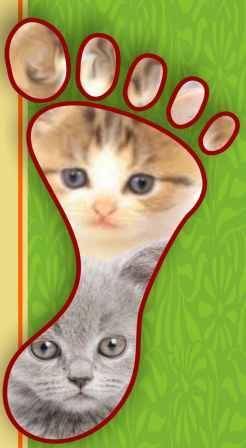 "מי ראה גור חתולים בכפות הרגליים?" יום עיון בנושא אבחון בשיטת הרפלקסולוגיה