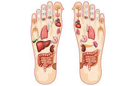 סקירת מחקר: השפעת הרפלקסולוגיה על חולי עצירות כרונית, אבחון  באמצעות מפת רגישות / מאת עדי אסף