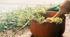 מטפלי מכללת רידמן העניקו עיסויים למשתתפי מרתון טבריה 2011