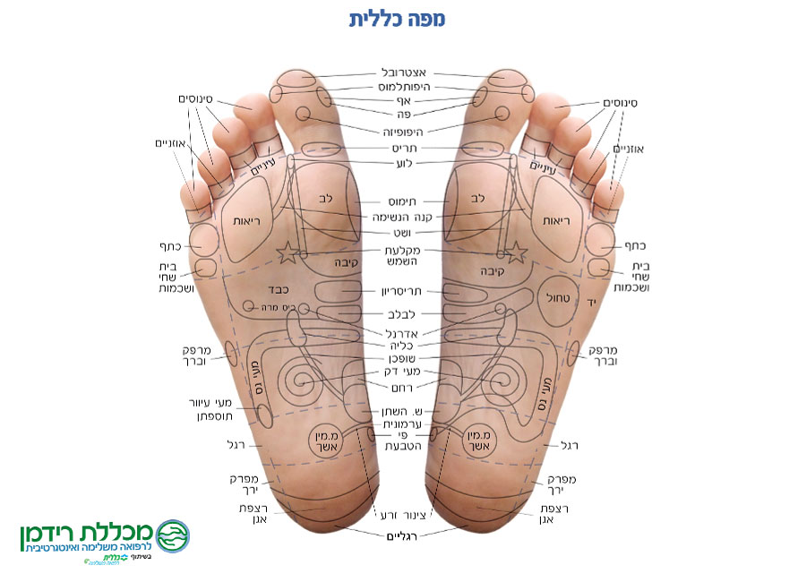 reflexology