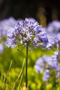 חדש בחיפה - קורס ללימוד קוסמטיקה טבעית